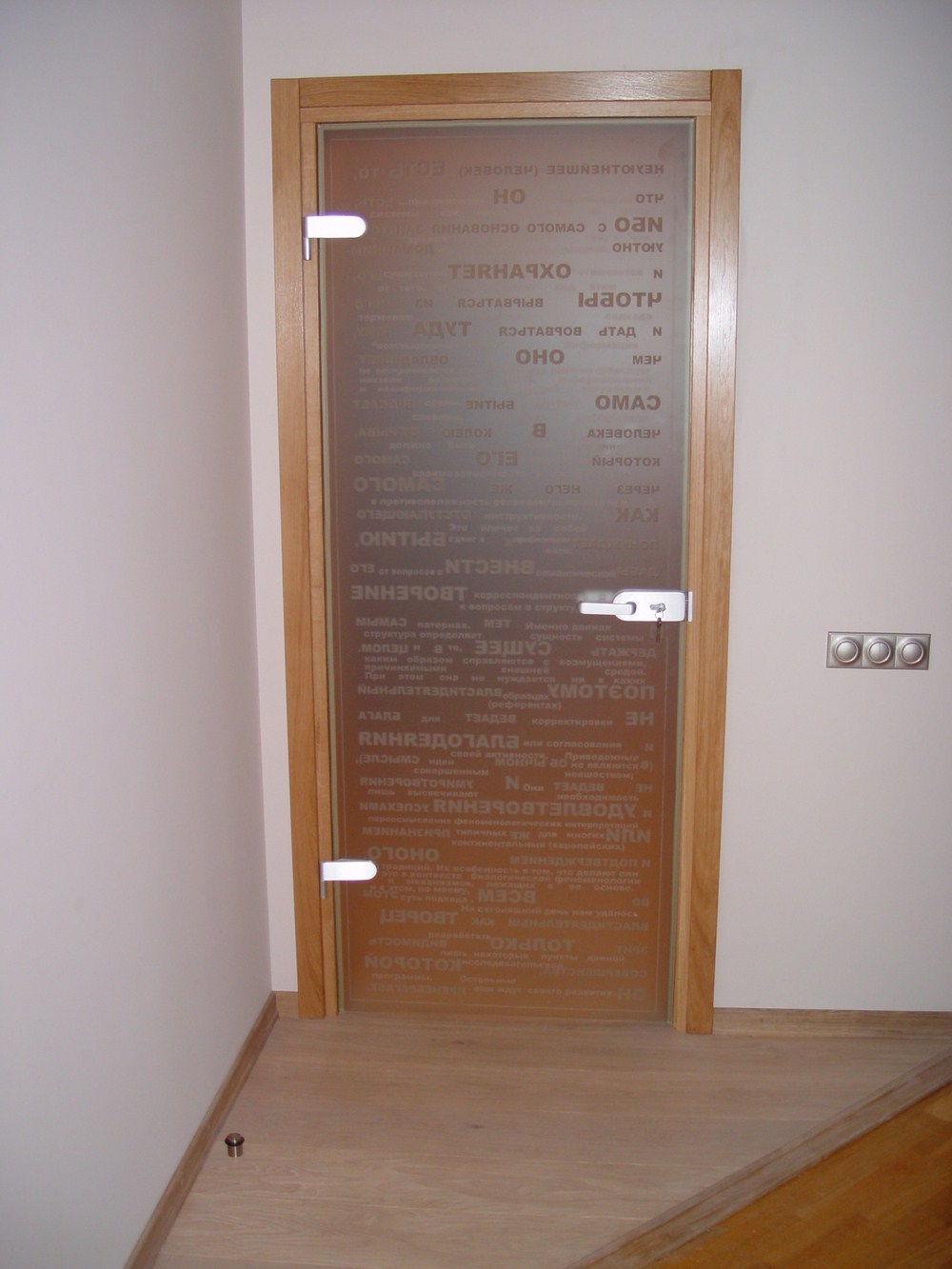 Межкомнатная стеклянная дверь с пескоструйным рисунком