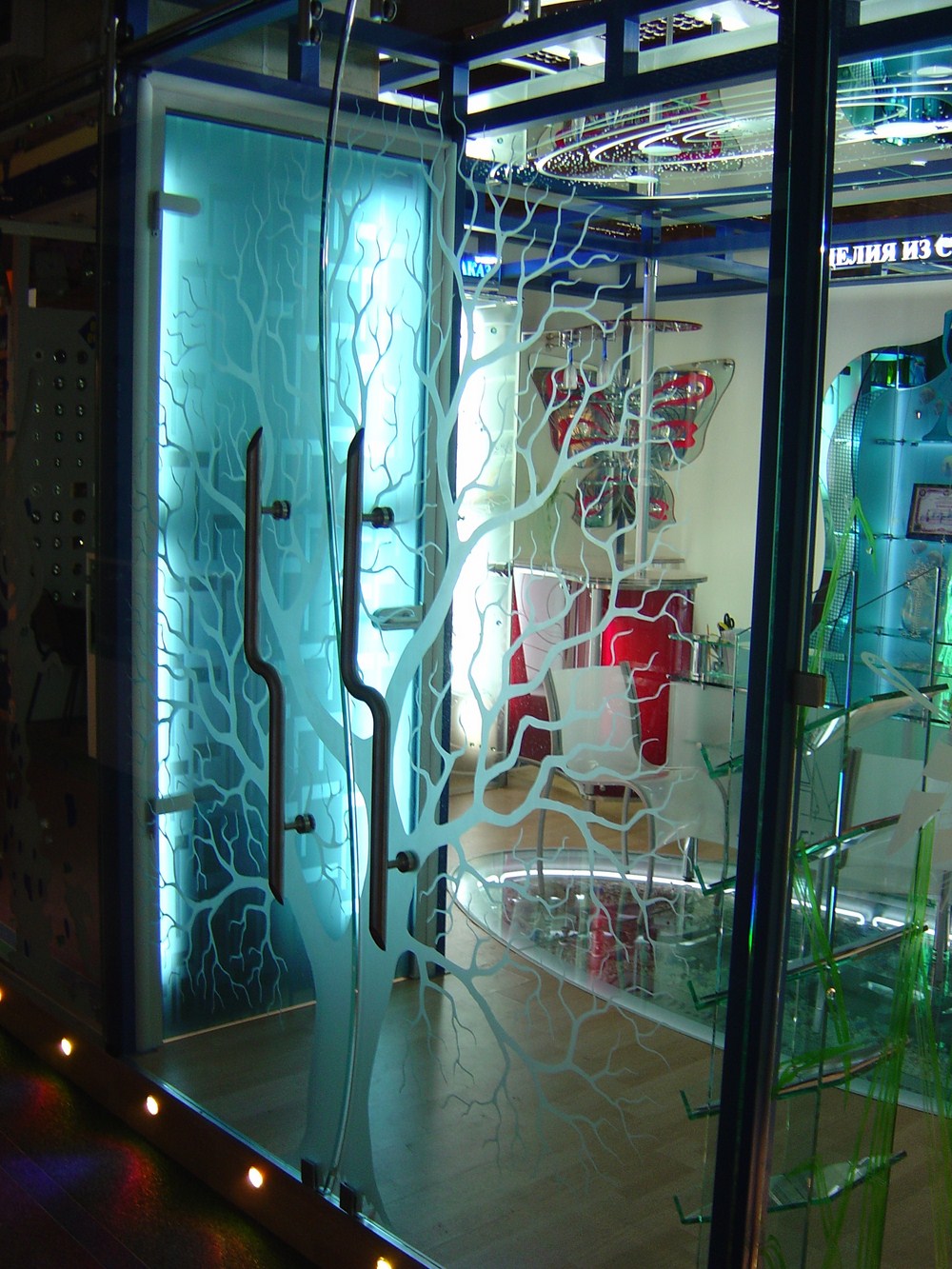 Двери с пескоструйным рисунком на стекле