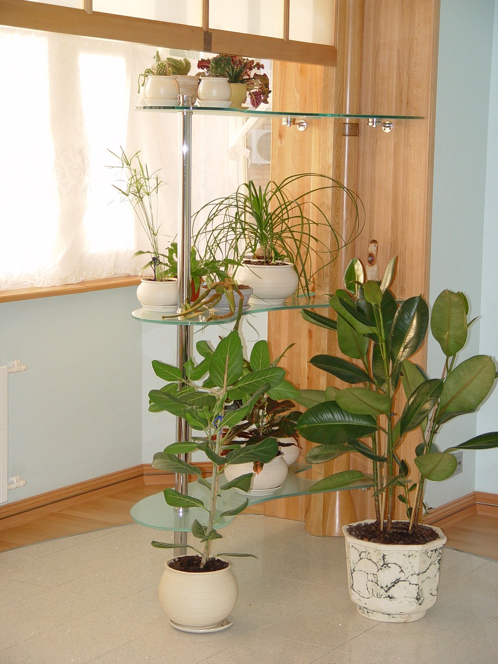 Стеллаж для цветов