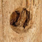 Ступа для перца